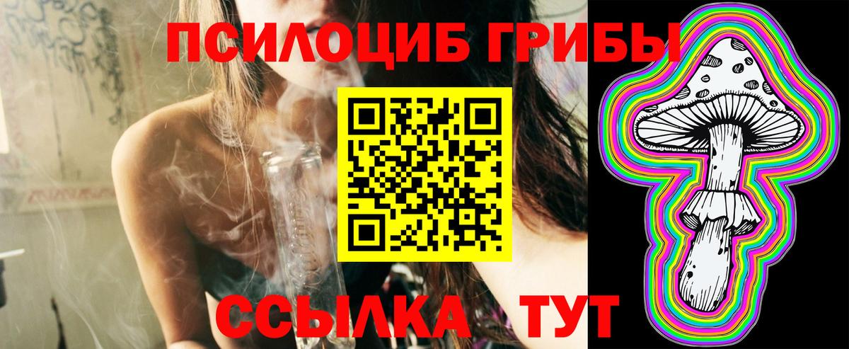 Галлюциногенные грибы Psilocybine cubensis Вольск