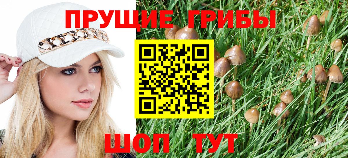 Вольск  Галлюциногенные грибы MAGIC MUSHROOMS  Вход с VPN  Псилоцибиновые грибы MAGIC MUSHROOMS 